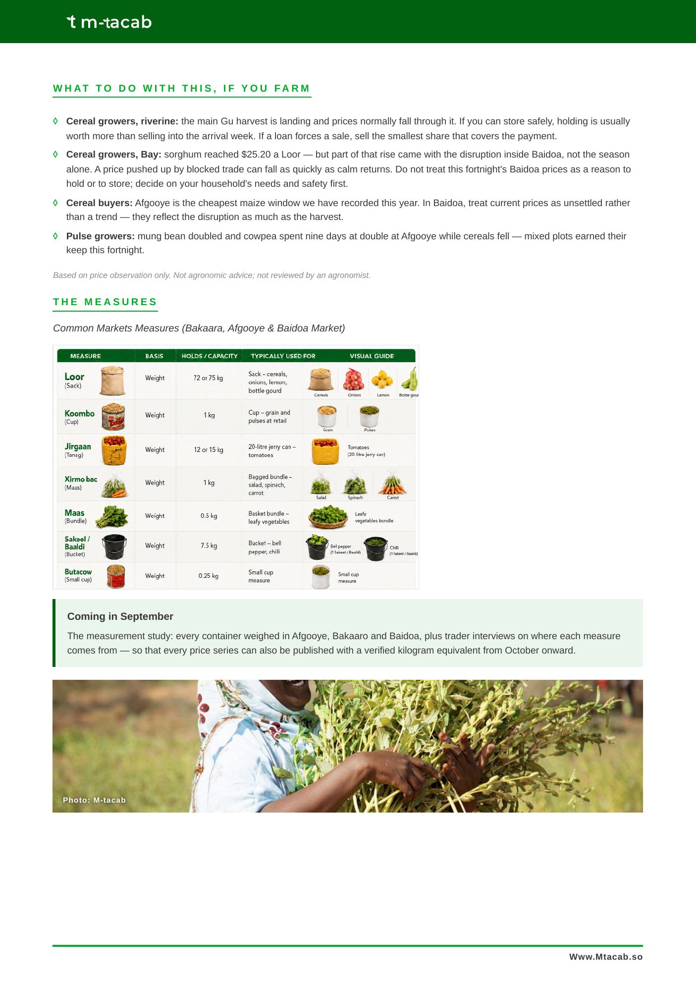 Suuq Bulletin Issue 02, page 6