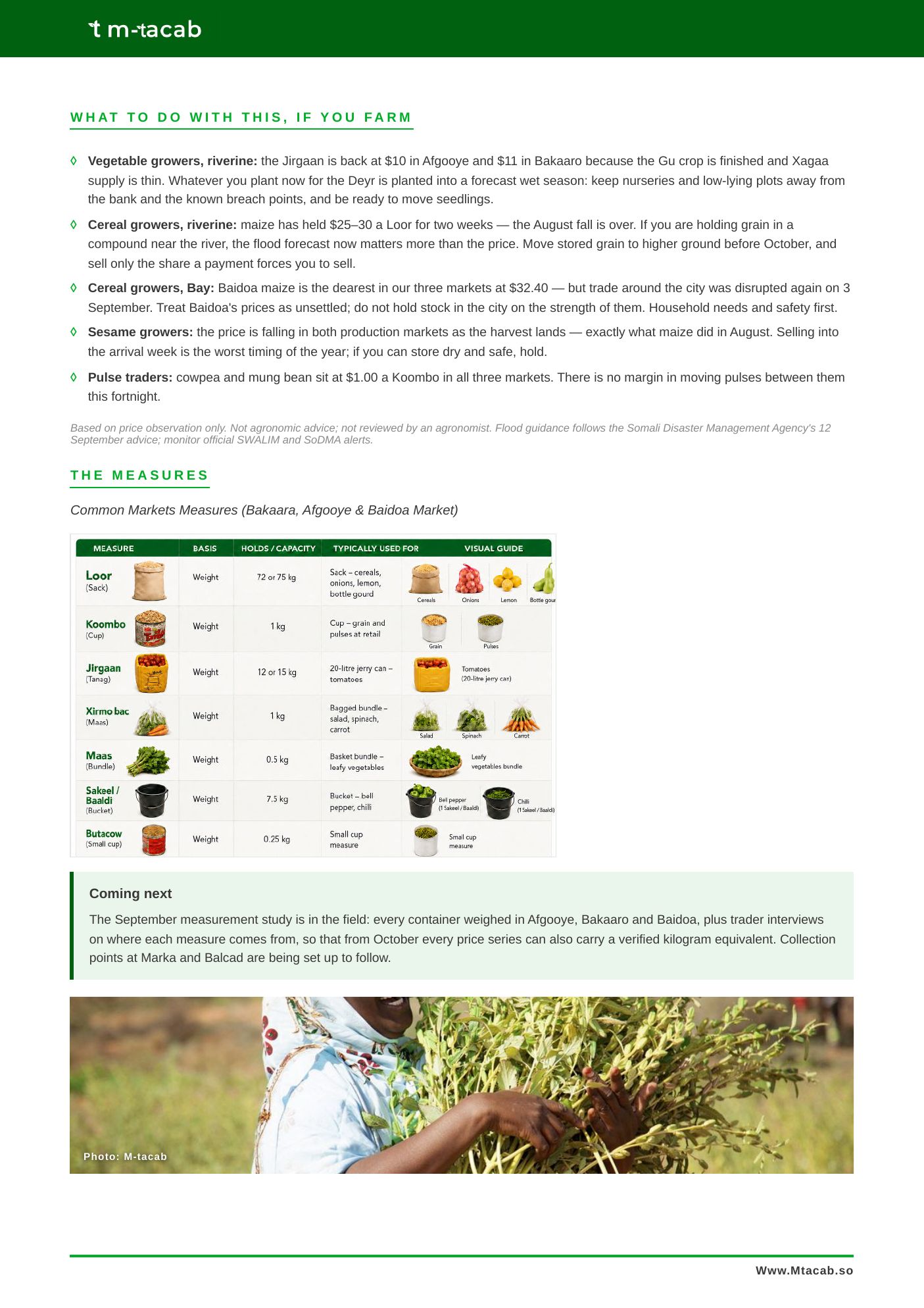 Suuq Bulletin Issue 03, page 6